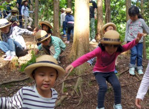 郊外施設 北山自然観察林（京都市左京区鞍馬）の様子