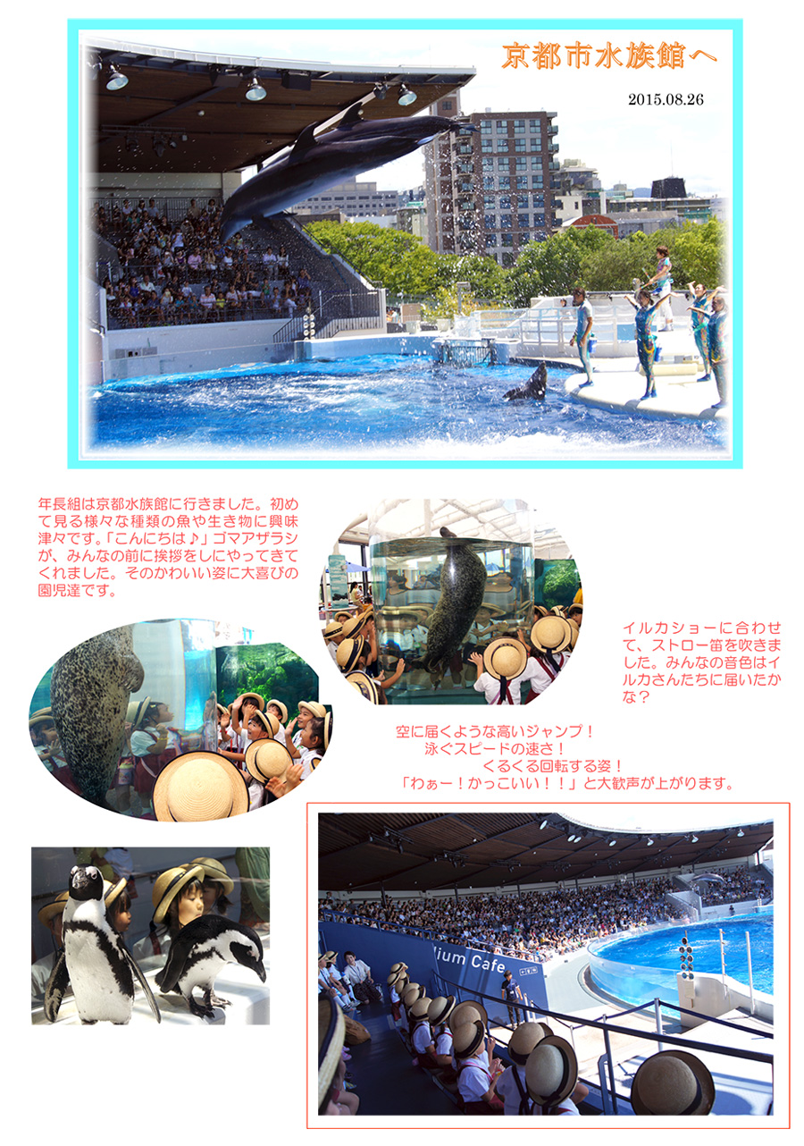 年長組は水族館に行ってきました。
